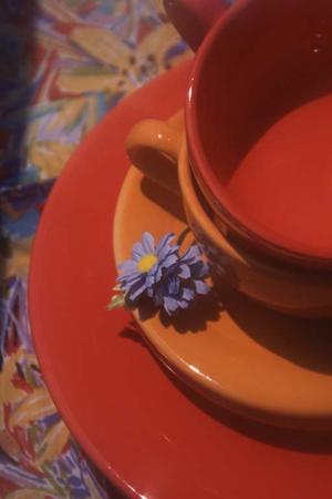 目的別に利用できるライブ配信の魅力