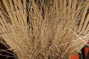 【2026年最新】京都の宝石買取で高価査定を実現！成功の秘訣と選び方ガイド